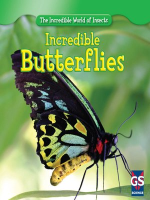 cover image of Incredible Butterflies
